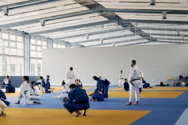 Viele Judoka in einer großen Halle beim Judo-Training.