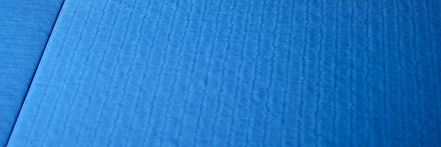 Detailaufnahme einer blauen Judomatte.